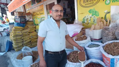 SUMAK HASADI BAŞLADI: KİLOSU 350 TL