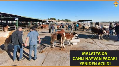 MALATYA’DA HAYVAN PAZARI YENİDEN AÇILDI