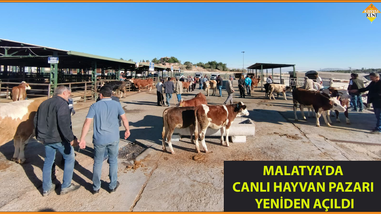 MALATYA’DA HAYVAN PAZARI YENİDEN AÇILDI