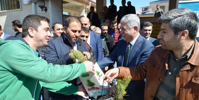 “50 Bin Adet Fidan Dağıtımı Yaptık”