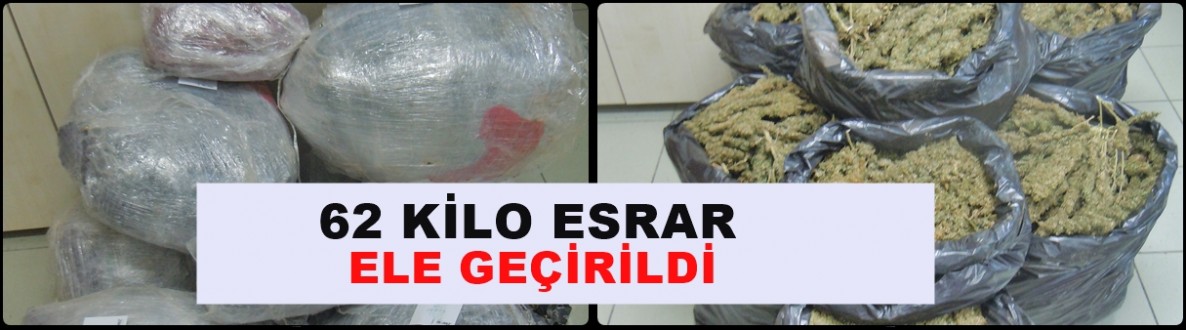62 Kilo Esrar Ele Geçirildi