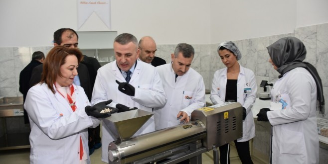 Acı Kayısı Çekirdeğindeki Sır,  Kayısır Olarak Üretildi