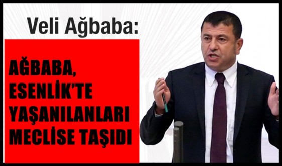 Ağbaba, Esenlik &#039;te yaşanılanları Meclise Taşıdı