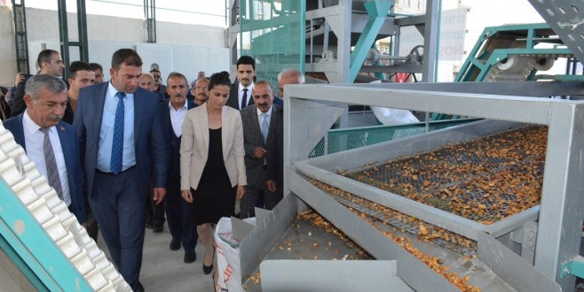 Akçadağ'da İyi Tarım Uygulamaları Sertifikasyon Töreni Düzenlendi