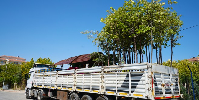 Başkan Çakır Adına  Muş’ta Park Yapılıyor