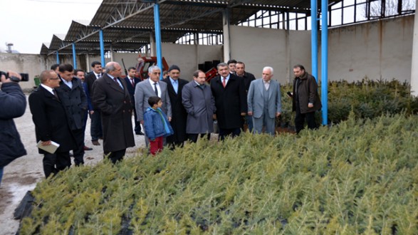 BATTALGAZİ BELEDİYESİ 100 BİN FİDAN DİKECEK