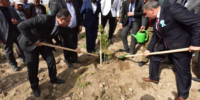 Battalgazi Belediyesi, 2017 Yılında 100 Bin Fidanı Toprakla Buluşturacak