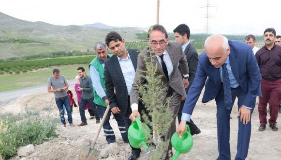 Bin Adet Fidan Toprakla Buluşturuldu