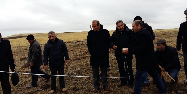 Büyükşehir Belediyesi Lavanta Bahçesi Kuruyor