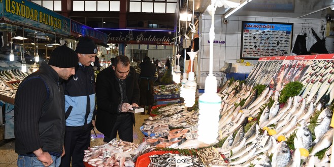 BÜYÜKŞEHİR ZABITASI BALIKÇILARI DENETLEDİ