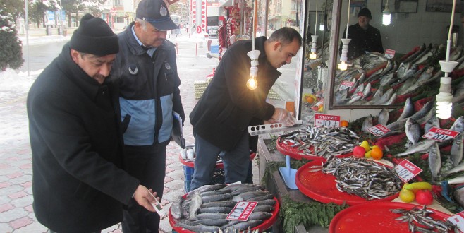 BÜYÜKŞEHİR ZABITASI DENETİMLERE DEVAM EDİYOR