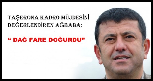 “ DAĞ FARE DOĞURDU”