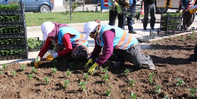 Daha Yeşil Bir Elazığ İçin