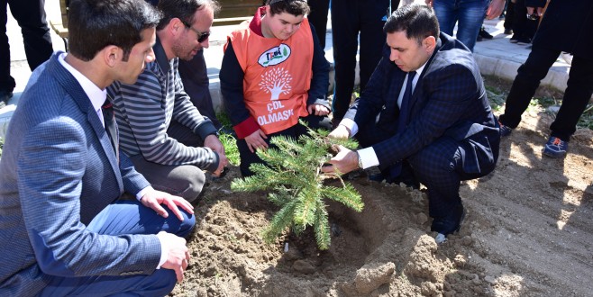 DOWN SENDROMLU ÖĞRENCİLER FİDAN DİKTİ