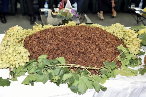 Ege’de tarım ürünleri ihracatı yüz güldürüyor