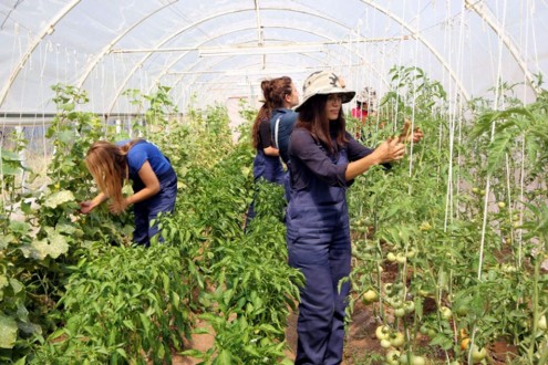 Genç Çiftçi Proje Değerlendirme Sonuçları Açıklandı