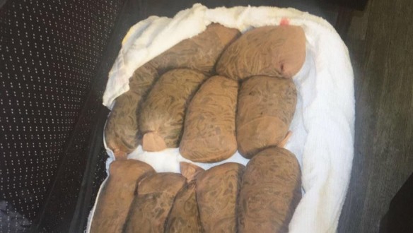 Gümrük Muhafaza Ekiplerince 83 Kg Sülük Yakalandı