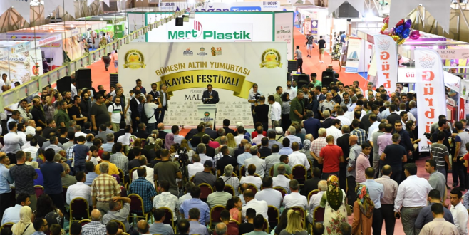 ‘Güneşin Altın Yumurtası’ Kayısı Festivali Ve Fuar Açılışı Gerçekleştirildi