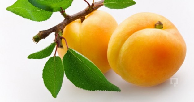 Güneşin Altın Yumurtası