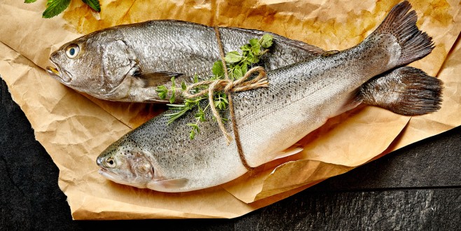 Haftada iki gün balık yaşam boyu sağlık