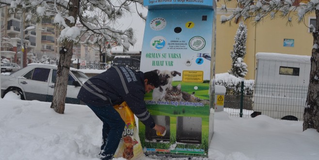 HAYVANLAR SOĞUKTAN ÖLMEZ, AÇLIKTAN ÖLÜR