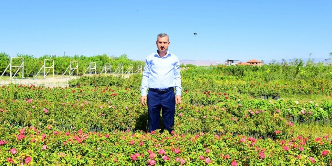 “İlçemiz, Mevsimlik Çiçeklerle Daha Güzel, Daha Renkli”