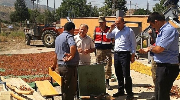 Kayısı Eylem Planı Kapsamında Kontroller Aralıksız Devam Edecektir