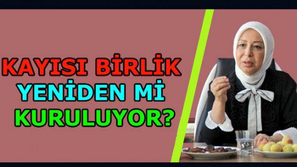 Kayısı Üreticilerini Heyecanlandıran Adım