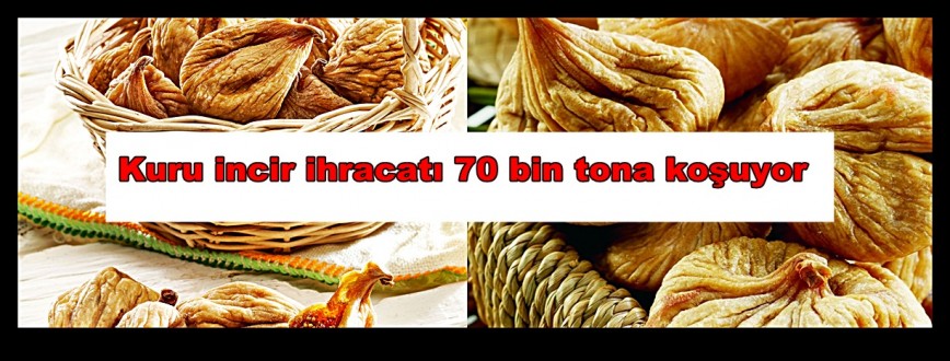 Kuru incir ihracatı 70 bin tona koşuyor