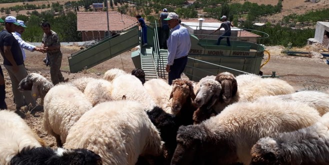 Malatya Koyun Keçi Yetiştiricileri Birliği Bir Hizmete Daha