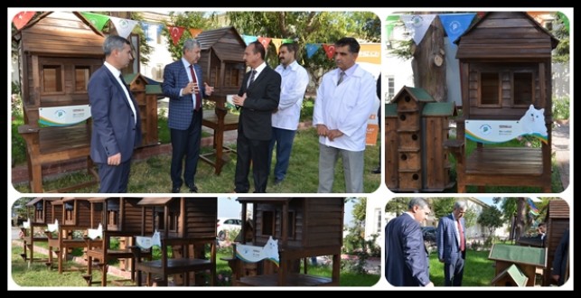 Modern Tasarımlı Kuş ve Kedi Barınakları Sosyal Yaşam Alanlarına Yerleştirildi