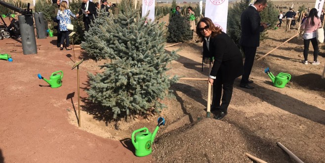 MTÜ Battalgazi Yerleşkesine 444 fidan