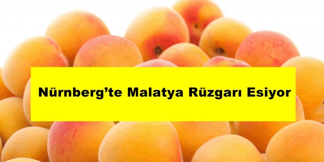Nürnberg’te Malatya Rüzgarı Esiyor