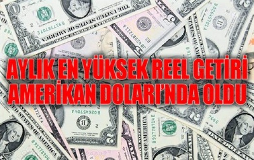 Reel getiri Amerikan Dolarında oldu.