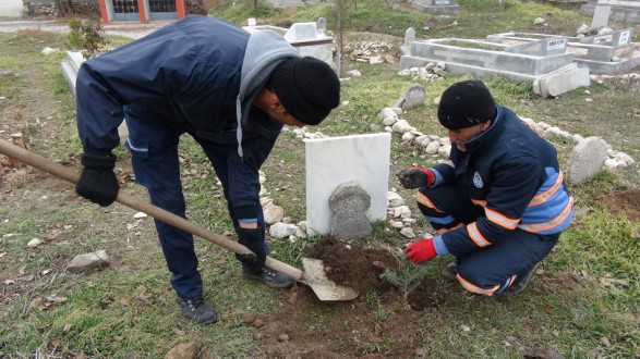 SIPTIRIZ MEZARLIĞI’NA 300 ADET FİDAN DİKİLDİ