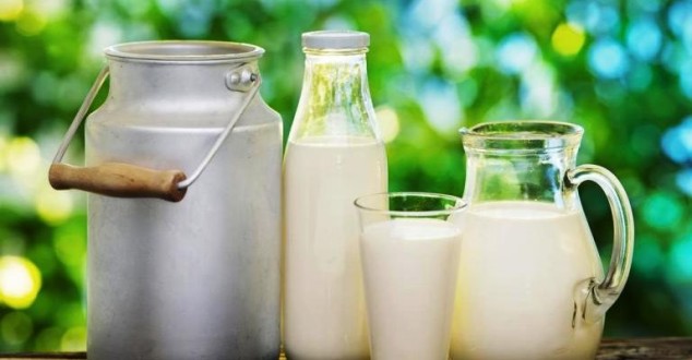 Süt ve Süt Ürünleri Üretimi