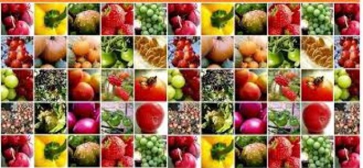 Tarım ÜFE Aralık ayında %1,30 arttı