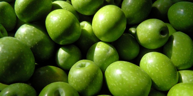 Türk zeytin ve zeytinyağı Myanmar yolcusu