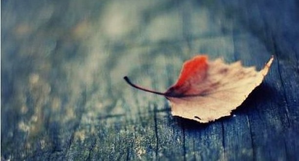 Türkiye’de ölümlerin %29'unu 65 yaş altı ölümler oluşturdu