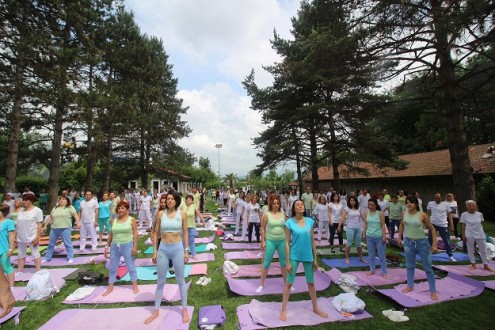 Uluslararası Farkındalık   Festivali