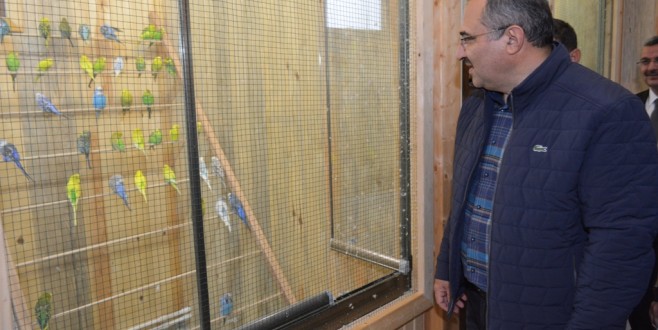 Vali Kaban Doğal Yaşam Parkı Ve Hayvanat Bahçesini Gezdi