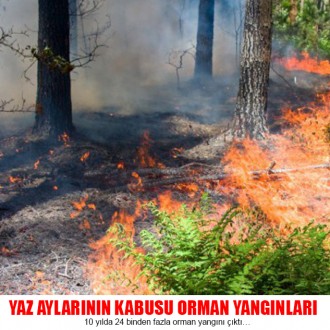 Yaz Aylarının Büyük Kabusu Orman Yangınları