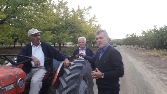Yenice'de Toplulaştırma