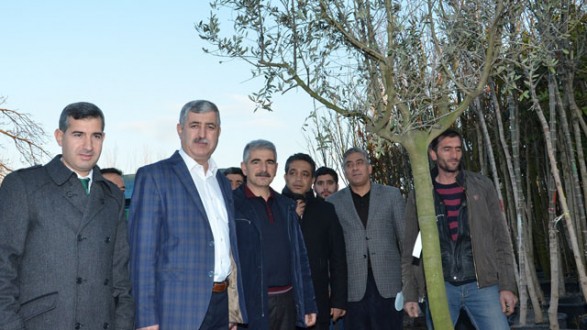 YEŞİLYURT BELEDİYESİ 15 BİN FİDAN DİKECEK