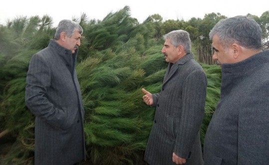 Yeşilyurt Belediyesi Tepeköy’de “Fidanlık Alanı” Oluşturdu