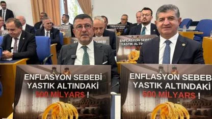 “ENFLASYONUN SEBEBİ YASTIK LOBİSİ OLDU”