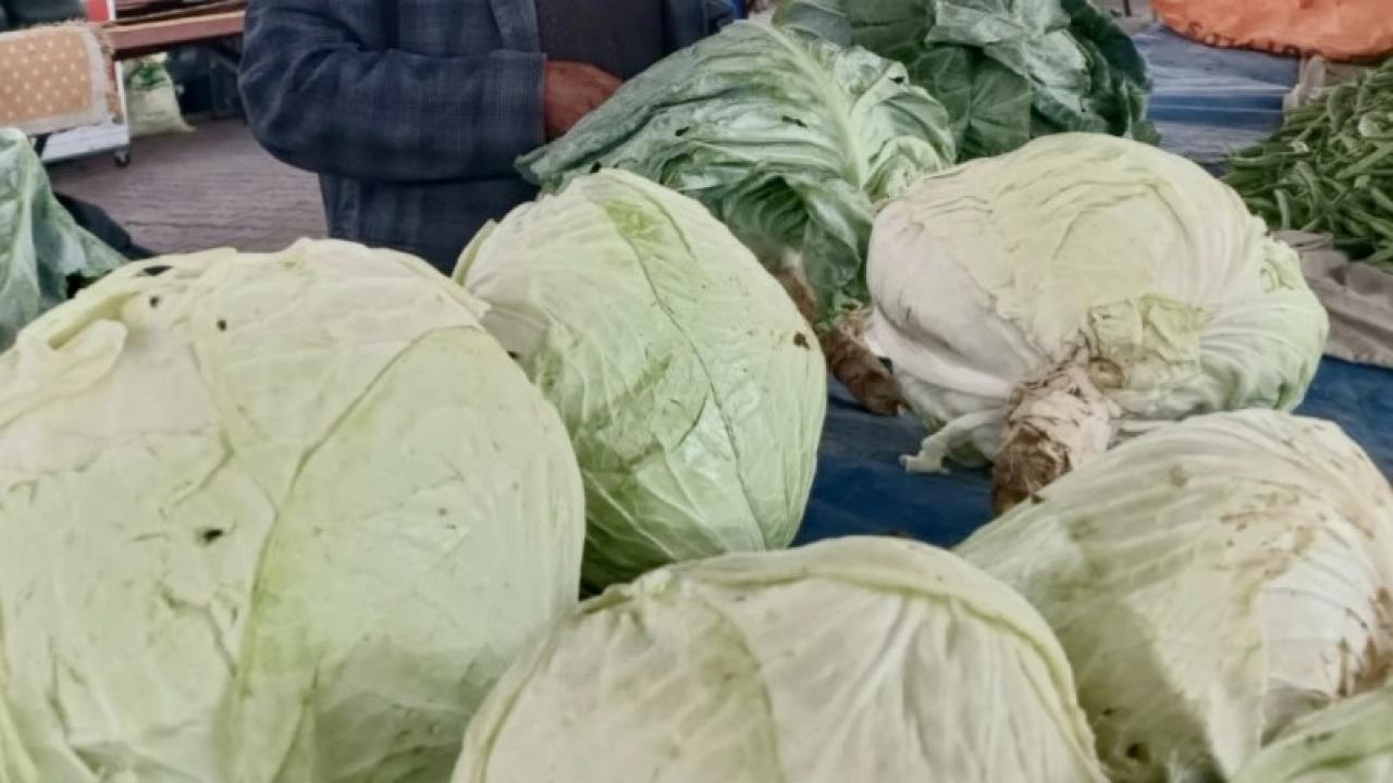 GASTROMASA’DA GÖYYAR LAHANASI RÜZGARI ESTİ