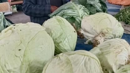 GASTROMASA’DA GÖYYAR LAHANASI RÜZGARI ESTİ