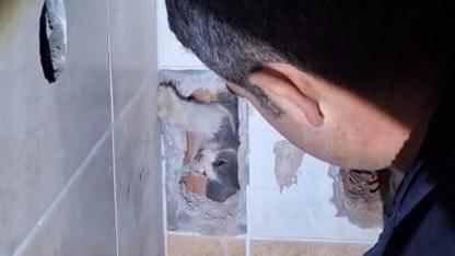 HAVALANDIRMA BOŞLUĞUNA DÜŞEN KEDİ KURTARILDI