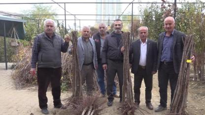 MALATYA’DA MEYVE FİDANI SATIŞ SEZONU AÇILDI